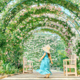 Rose Garden～春のバラまつり～【あしかがフラワーパーク】５００種２５００株の華やかなバラが見頃を迎えました！