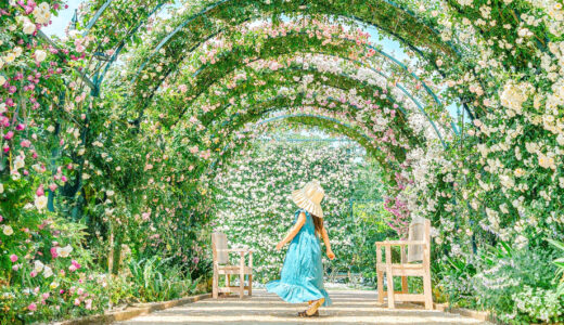 Rose Garden～春のバラまつり～【あしかがフラワーパーク】５００種２５００株の華やかなバラが見頃を迎えました！