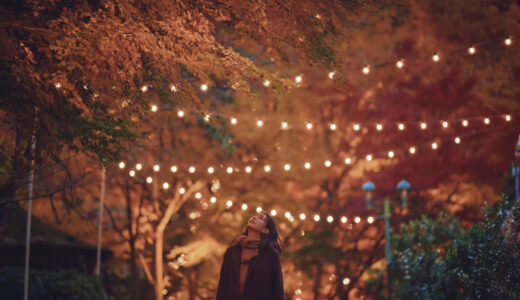 【神戸】布引ハーブ園 “光の回廊”に包まれる秋夜の散歩【紅葉ライトアップとクリスマスイルミが融合】
