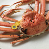 【プライベートジェット】空から向かう“冬の贅沢”──羽田発チャーター機で味わう【越前ガニの旅】