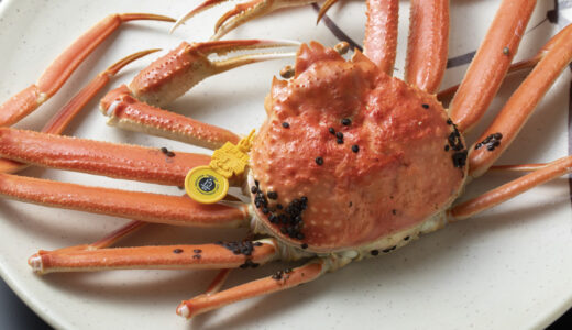 【プライベートジェット】空から向かう“冬の贅沢”──羽田発チャーター機で味わう【越前ガニの旅】