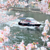 【目黒川お花見】貸切クルーザーで“桜のトンネル”を潜り抜ける贅沢体験【春限定CHANDONクルーズ】
