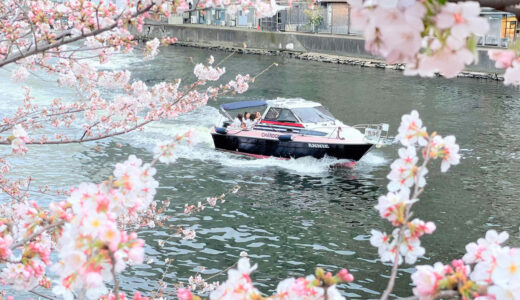 【目黒川お花見】貸切クルーザーで“桜のトンネル”を潜り抜ける贅沢体験【春限定CHANDONクルーズ】