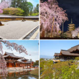【1日1組限定】京都の世界遺産を貸切！「龍安寺」「平等院」「東寺」「清水寺」春の特別拝観プライベートツアー【HOTEL THE MITSUI KYOTO】