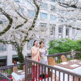 【高輪 桜まつり2026】品川駅徒歩圏！約2万㎡の日本庭園で桜を味わう都心の春【プリンスホテル】