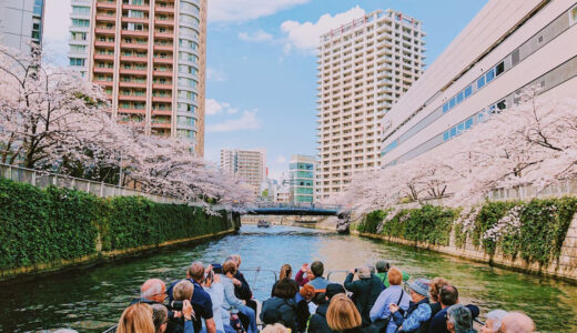 【残席わずか】目黒川を水上から楽しむ春時間【2026年 お花見クルーズ最新情報】