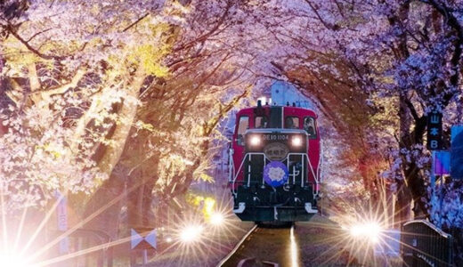 【2026年お花見トレンド】インバウンド混雑を避けて楽しむ「体験型お花見」 水上・車窓・空から味わう桜